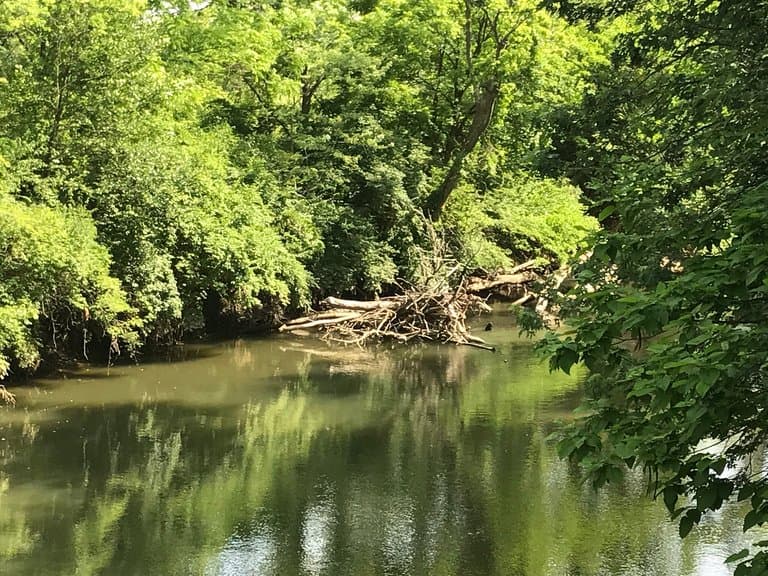 Three Creeks Metro Park
