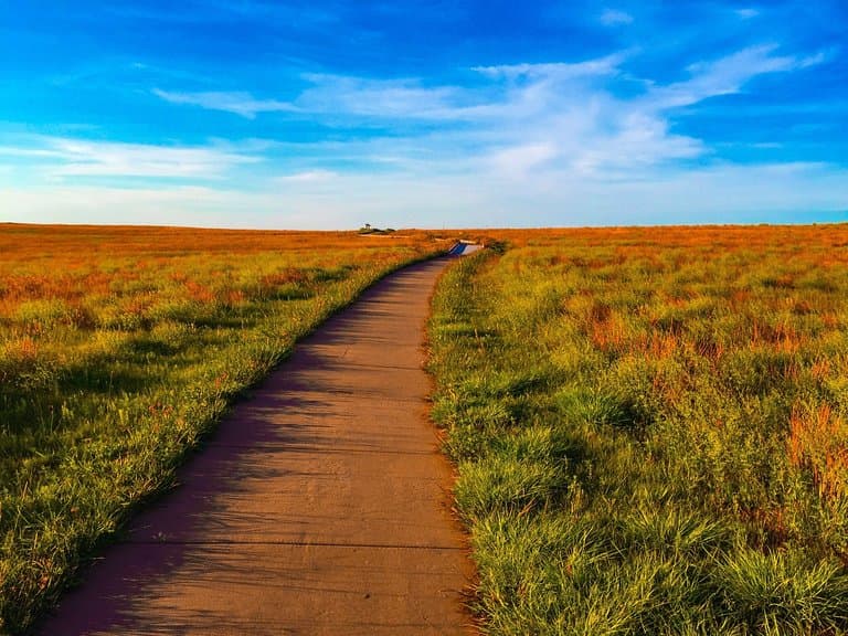 Santa Fe Trail Ruts Dodge City