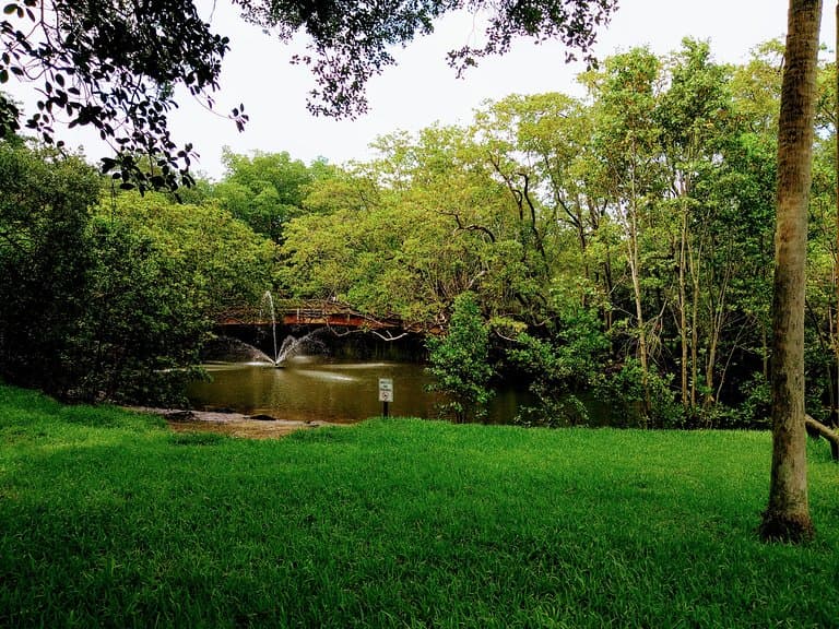 Relaxing and green trails