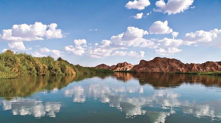 A look at the Colorado River from the Picacho State Recreation Area.