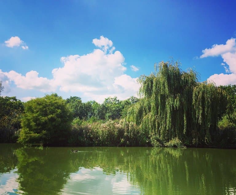 Sumners Ponds