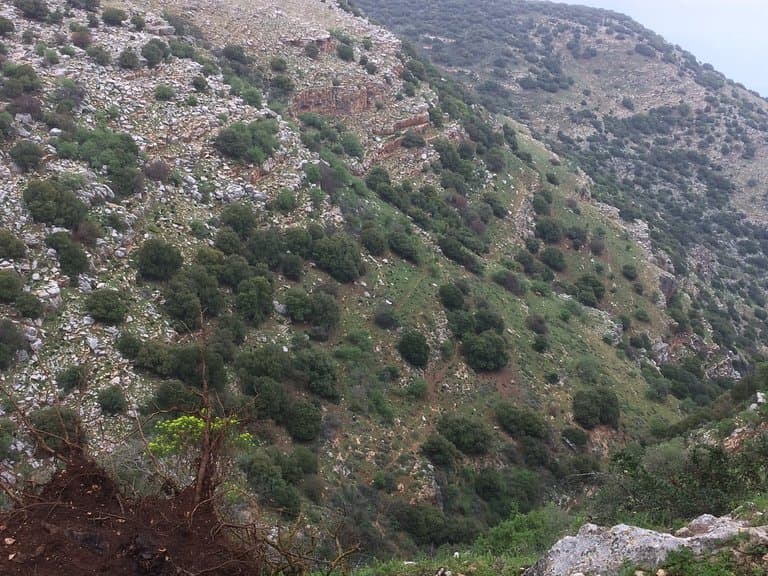 A view from the hike.
