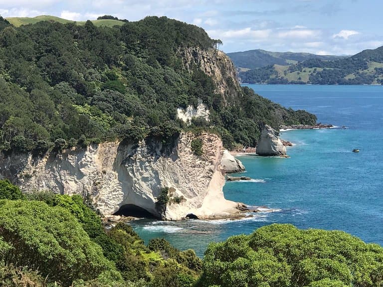 Cathedral Cove Lookout