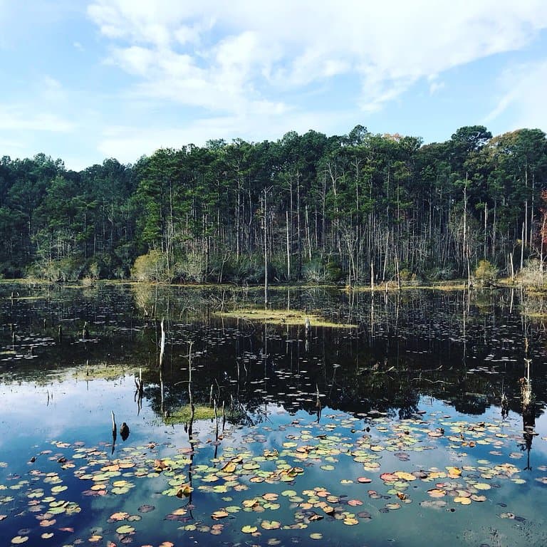 Restoration Park