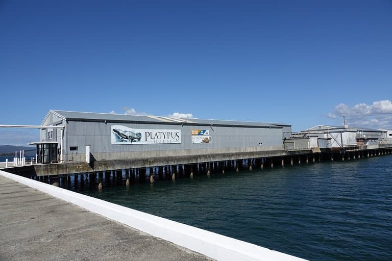 Platypus House located at the Wharf