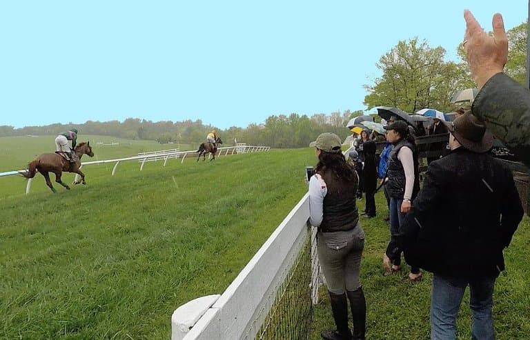 Winning the Race