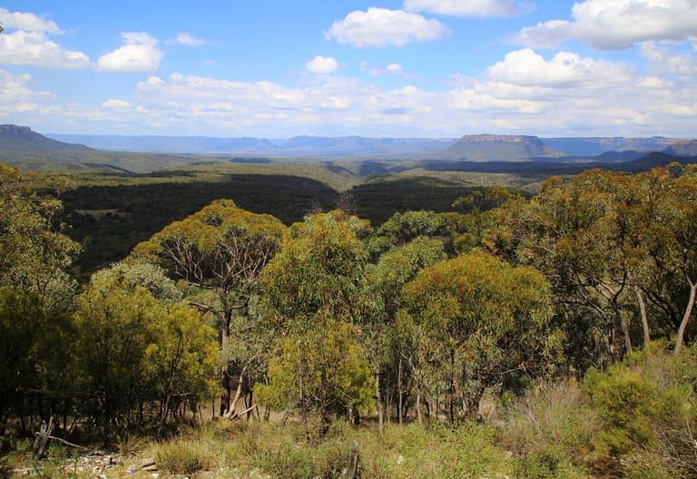 Capertee Valley from Pearsons lookout