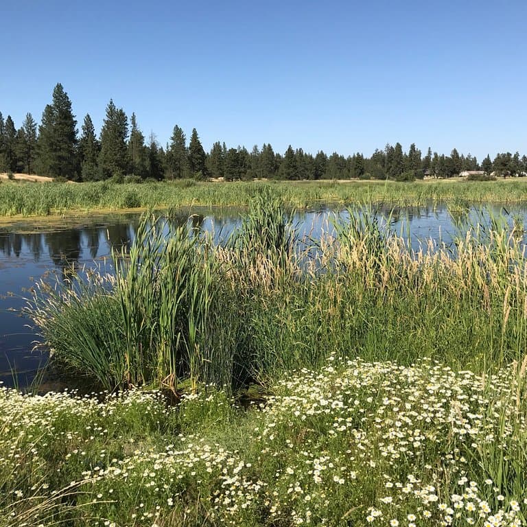 Turnbull National Wildlife Refuge