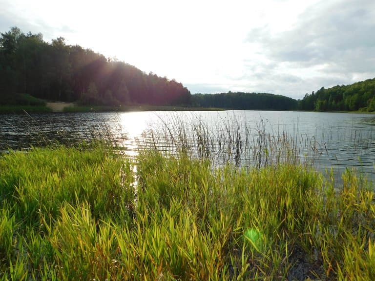 Mariy Chodra National Park