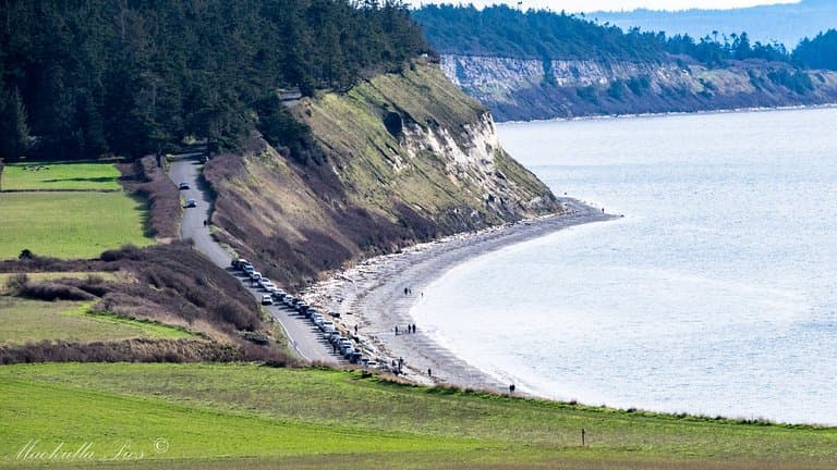 View of Ebey's landing from the hike pathe to Ebey's Bluff.