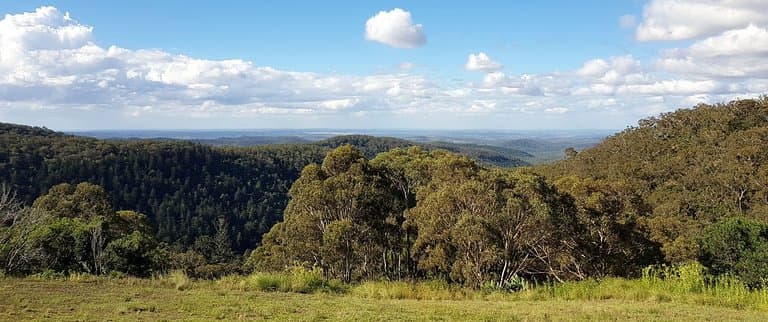 View to the north from one of the walking tracks
