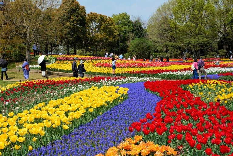 Kisosansen Park Center Oasis Park