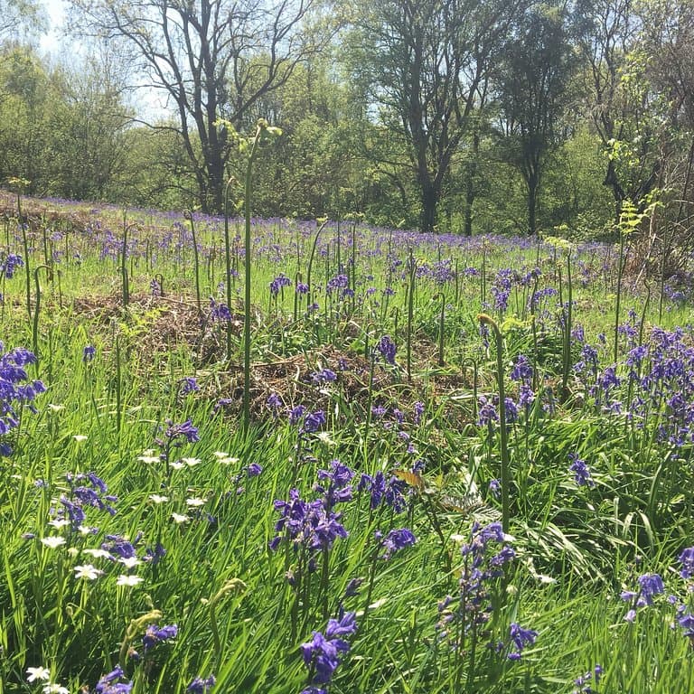Arger Fen and Spouses Vale