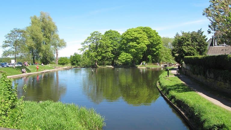 Pond by Cafe and Car Park