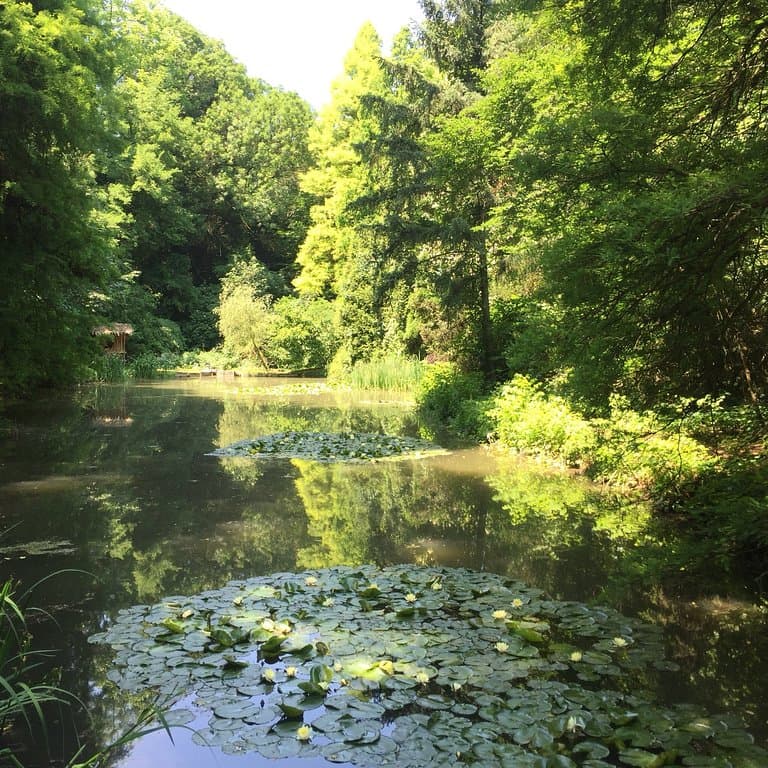 Simeria Arboretum