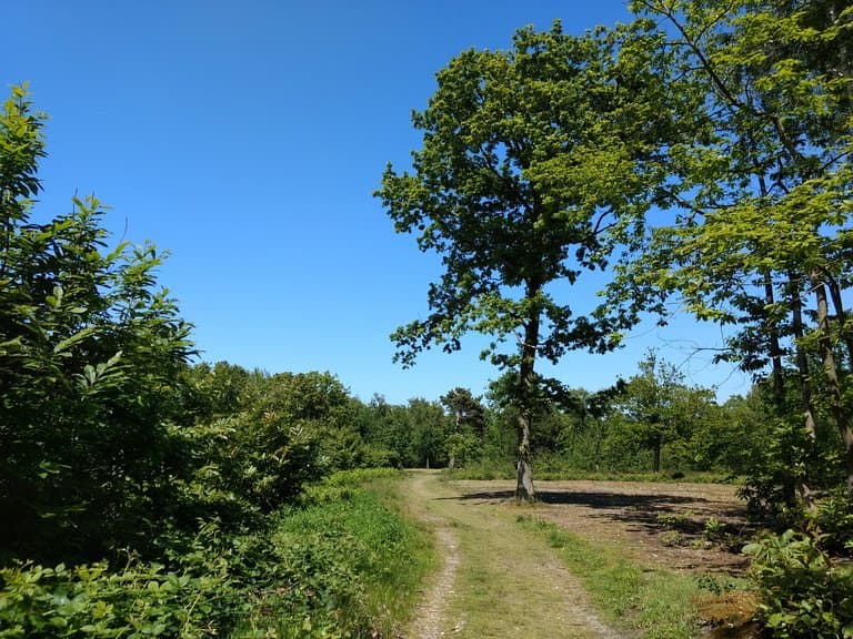 View of the main walking entrance 
