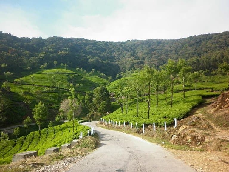 Marayoor Sandalwood Forest