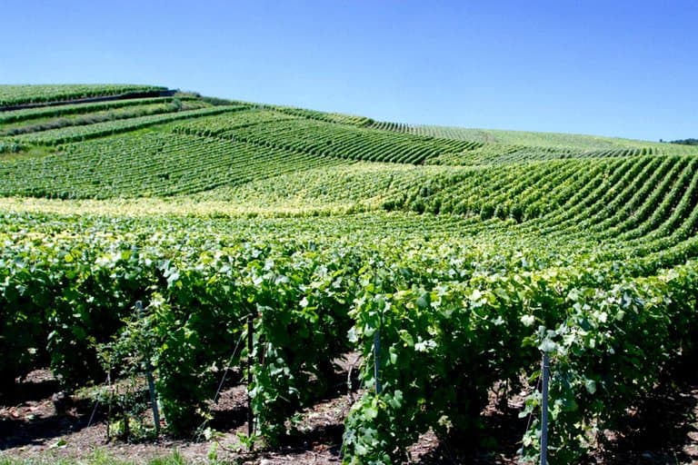 Champagne Route