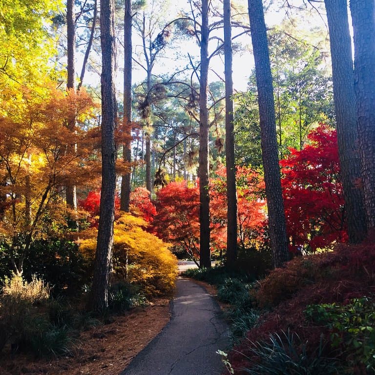 Ruby M. Mize Azalea Garden