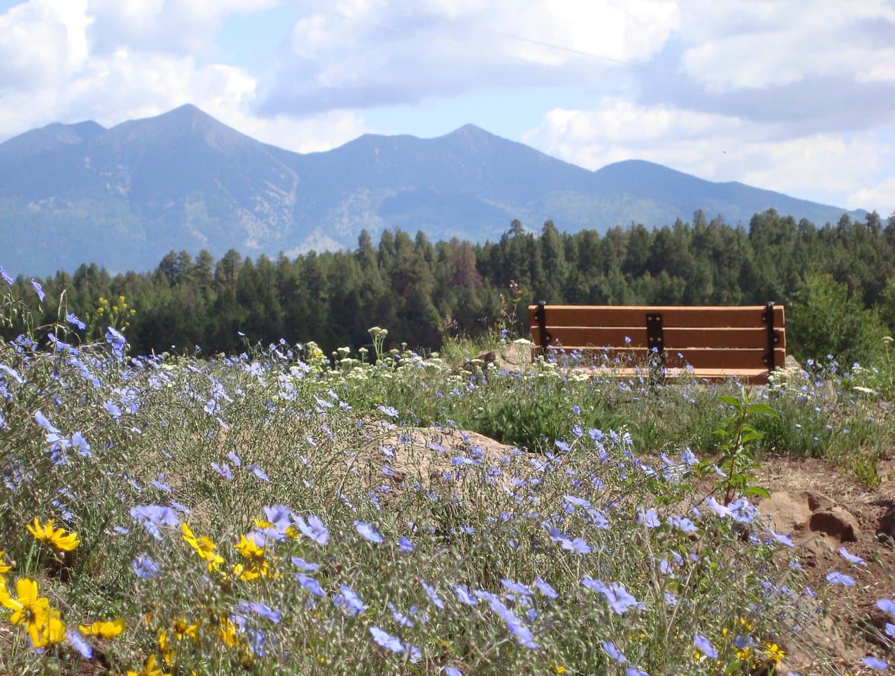 The Arboretum at Flagstaff
