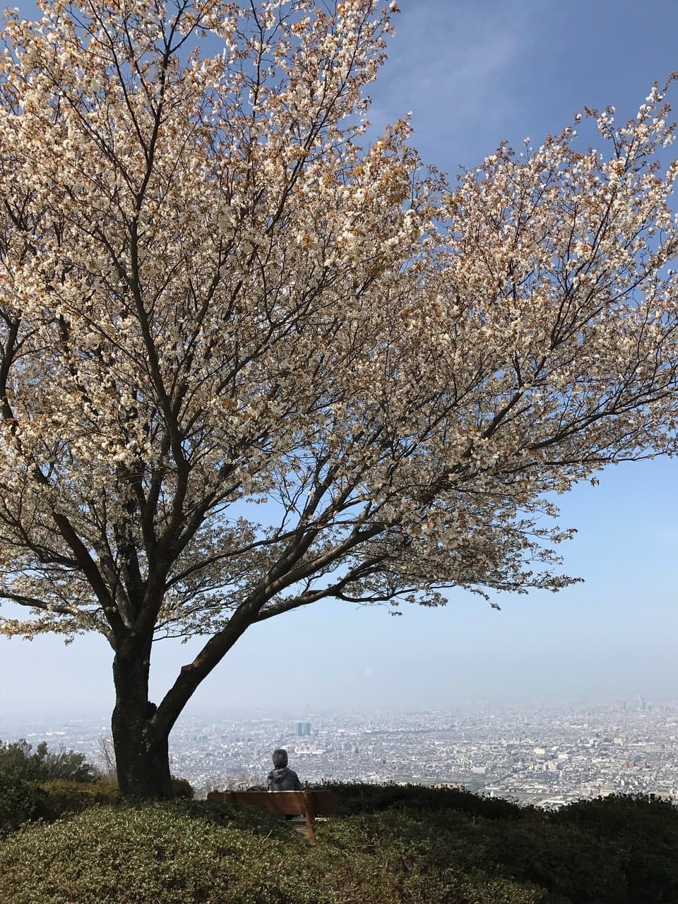 Ikoma Mountain Viewpoint
