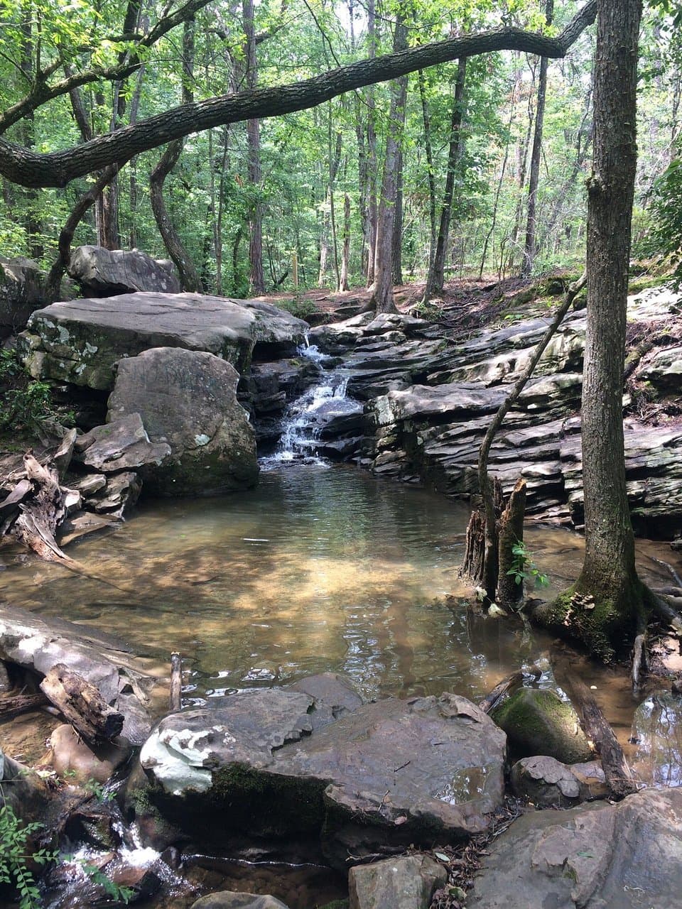 Moss Rock Preserve