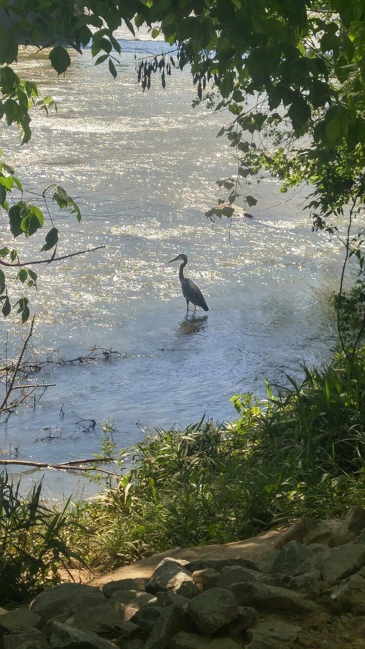 Cayce Riverwalk