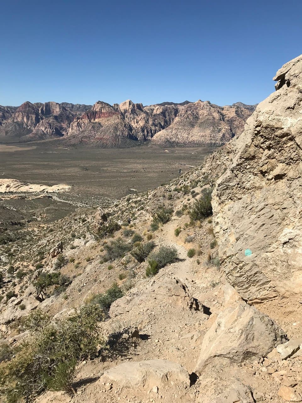 Hike Turtlehead Peak Trail