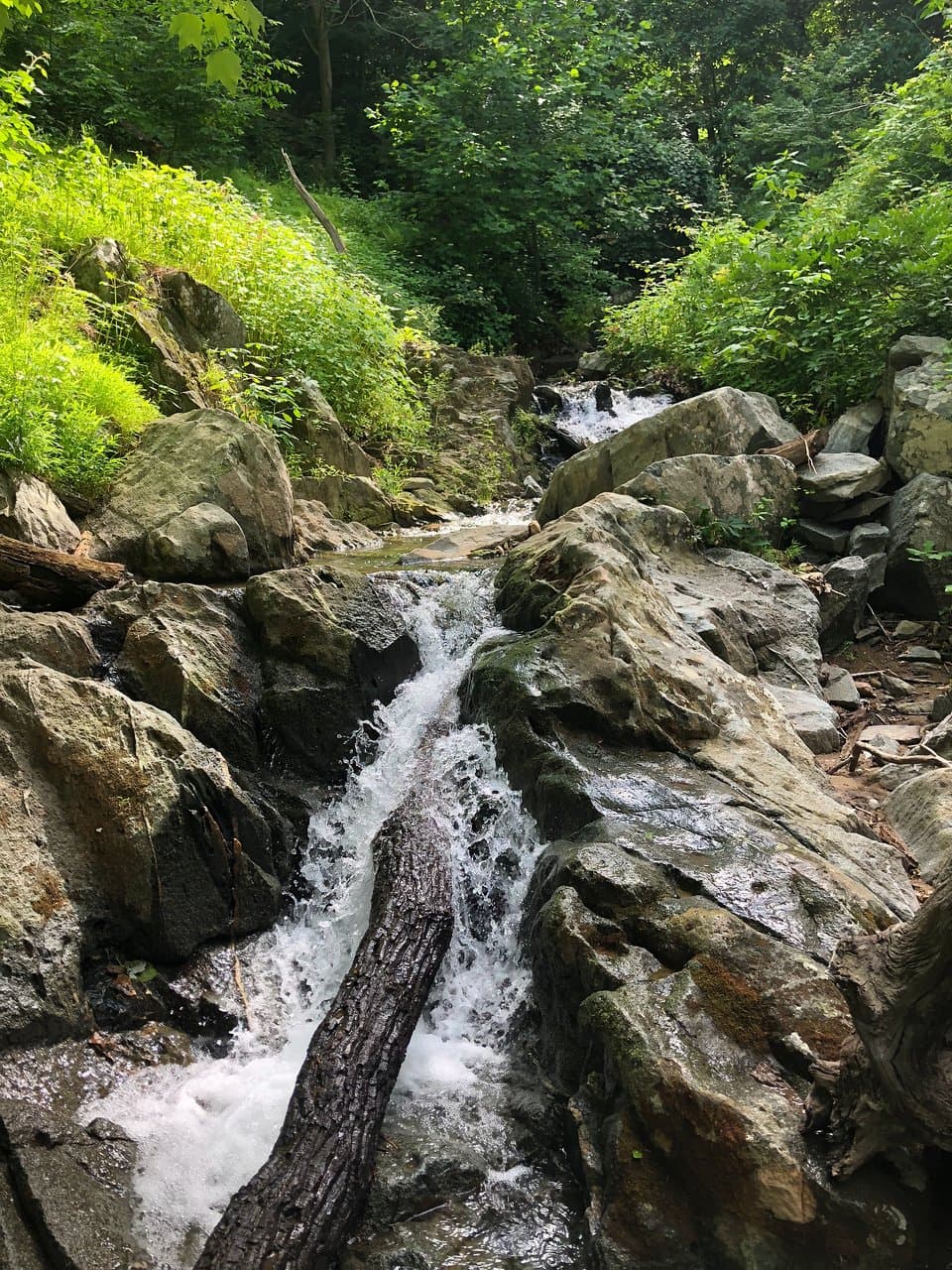 Turkey Run Park