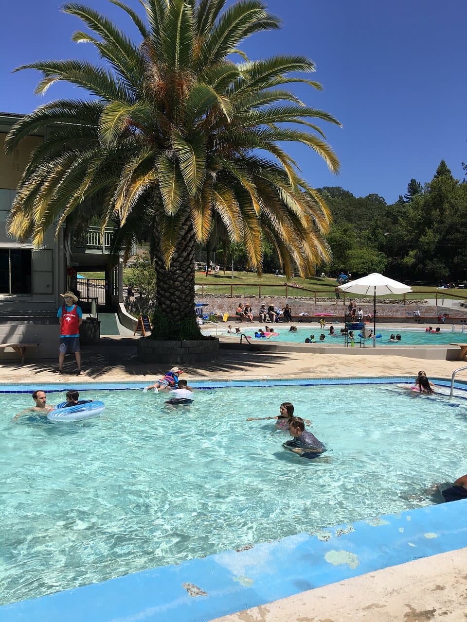 Morton's Warm Springs