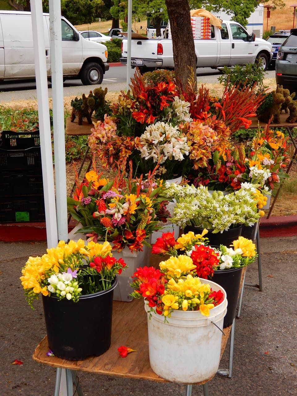 Flowers.