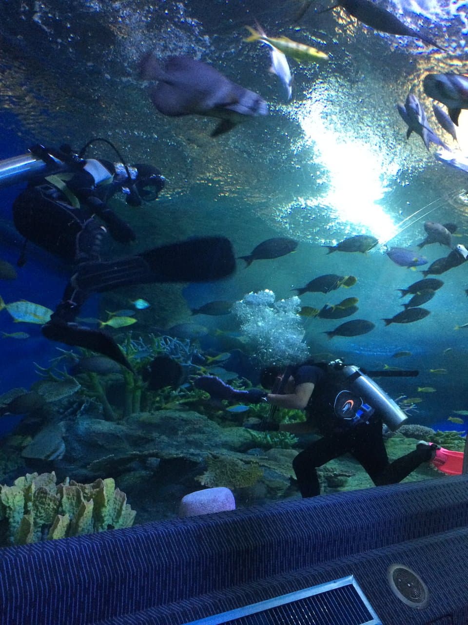 ๊Underwater World Pattaya