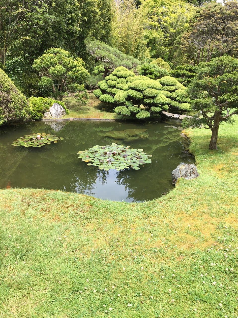 Water + greenery