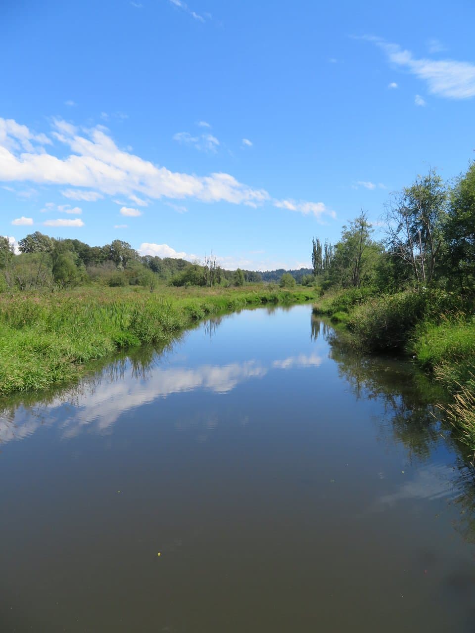 Burnaby Lake Regional Nature Park