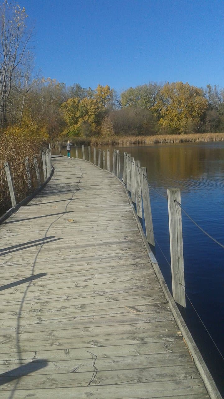 Floating bridge over marshland in early Spring
