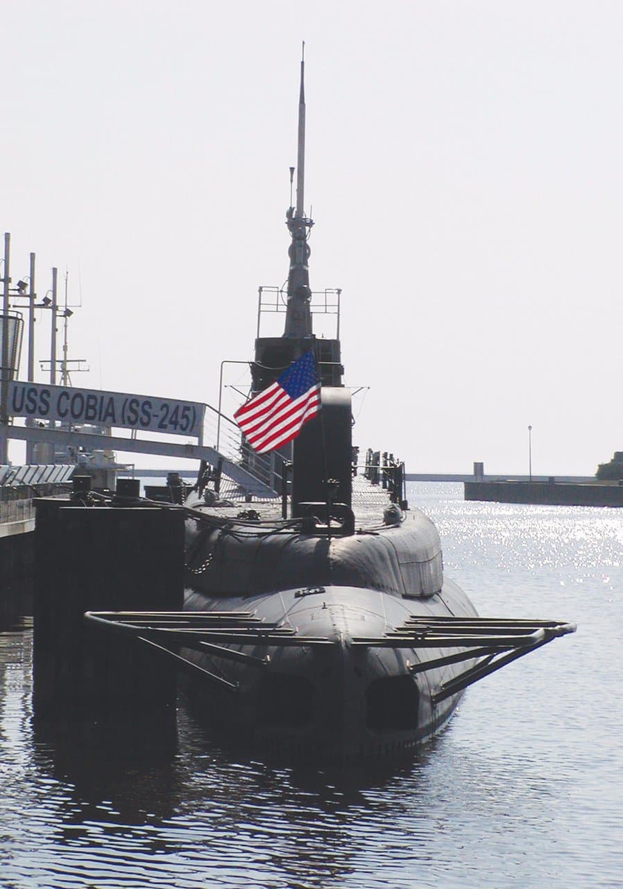 USS Cobia (SS 245)