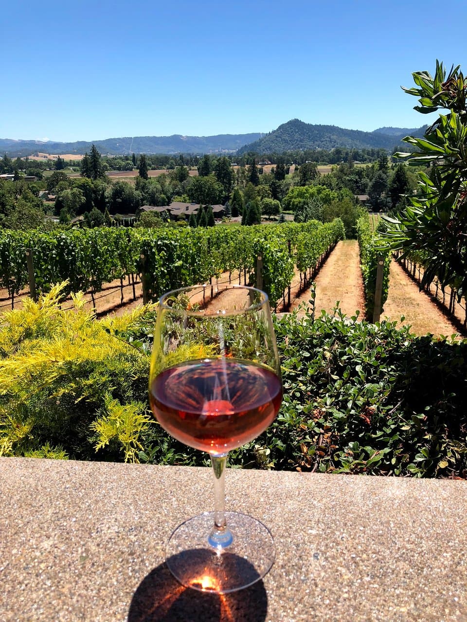 Cooper Ridge Vineyard