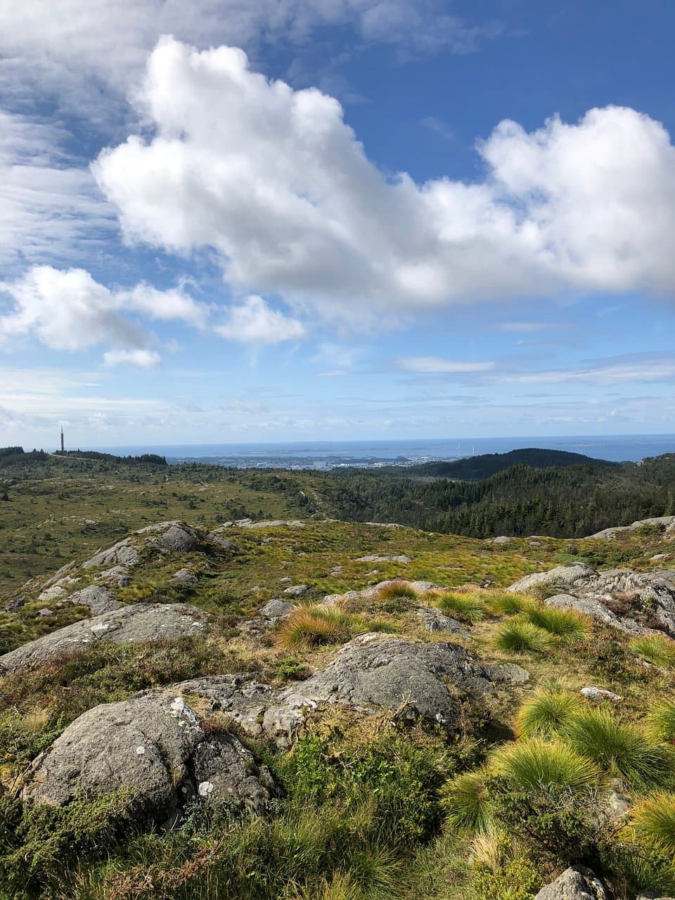 Steinsfjellet Viewpoint