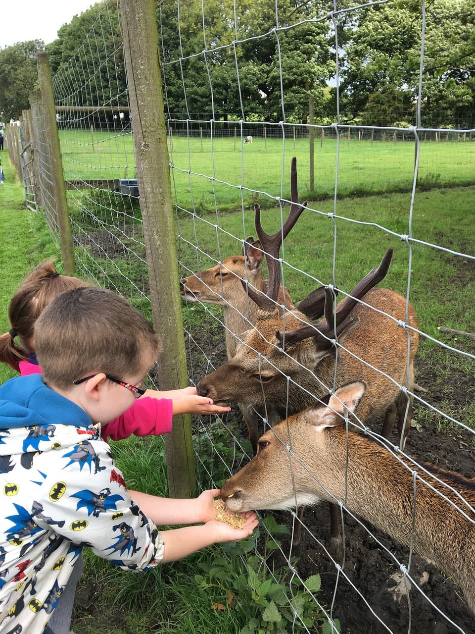 Smithills Open Farm