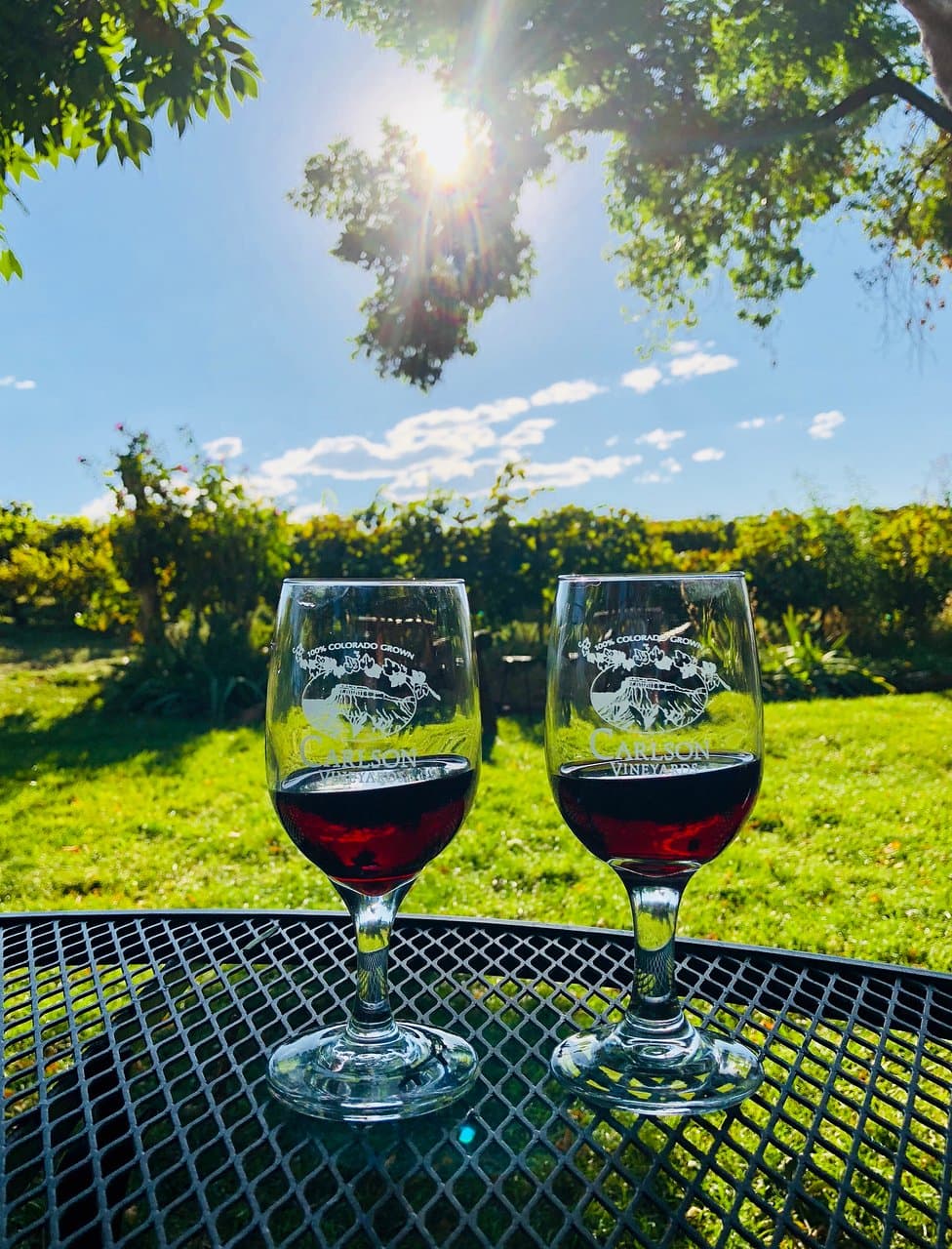 Carlson Vineyards