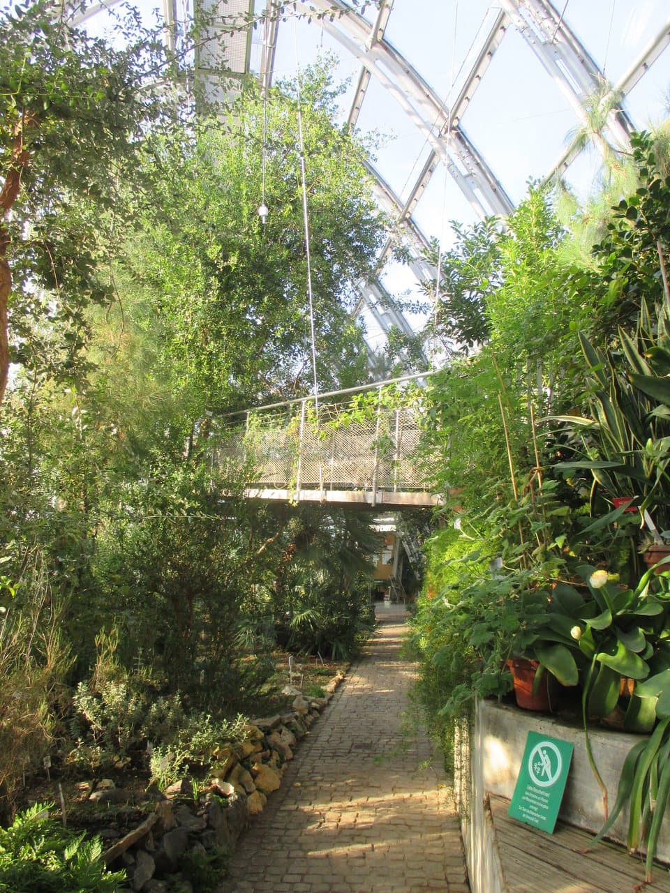 Botanischer Garten