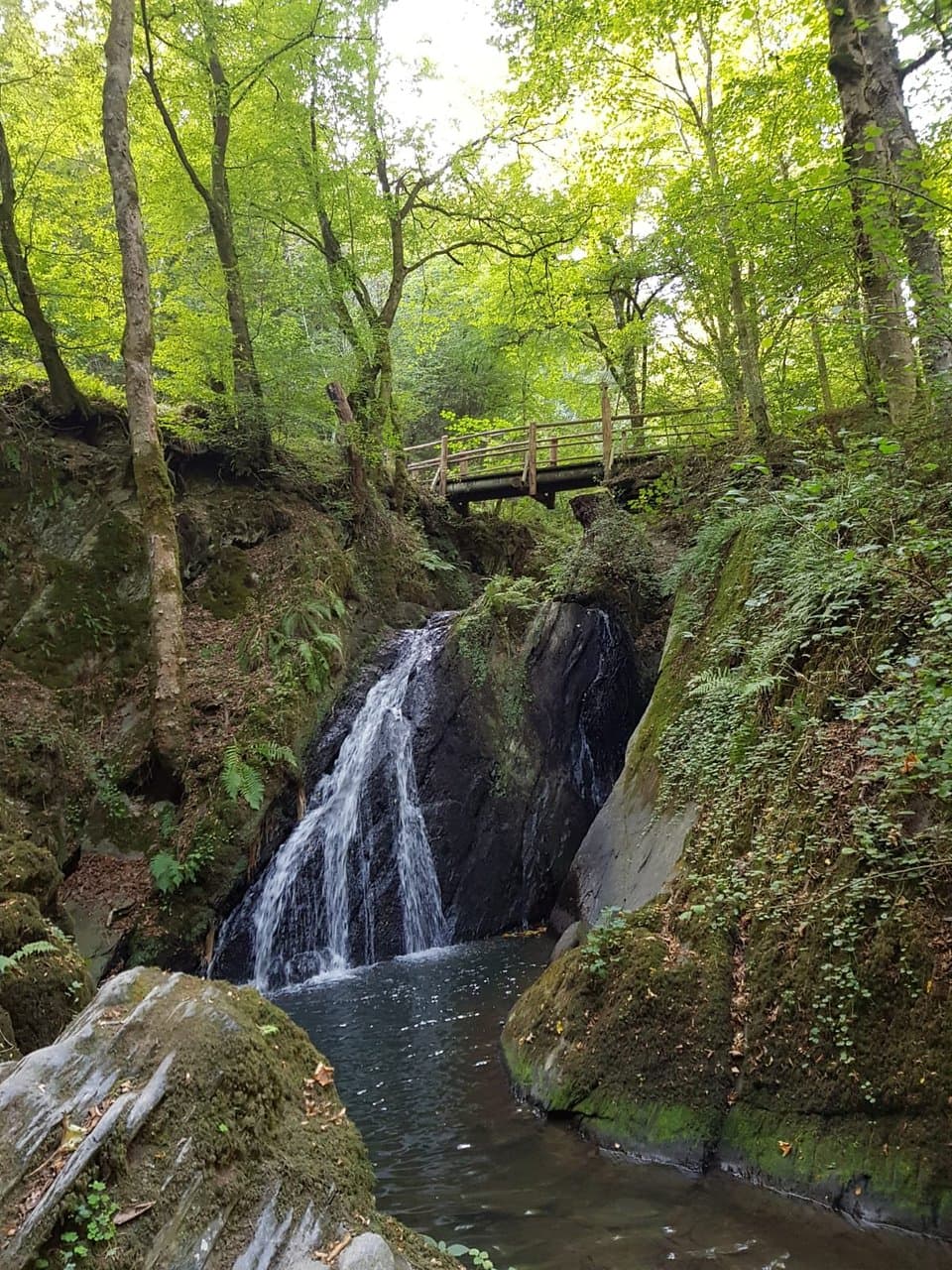 Erlebnisweg Tal der Wilden Endert