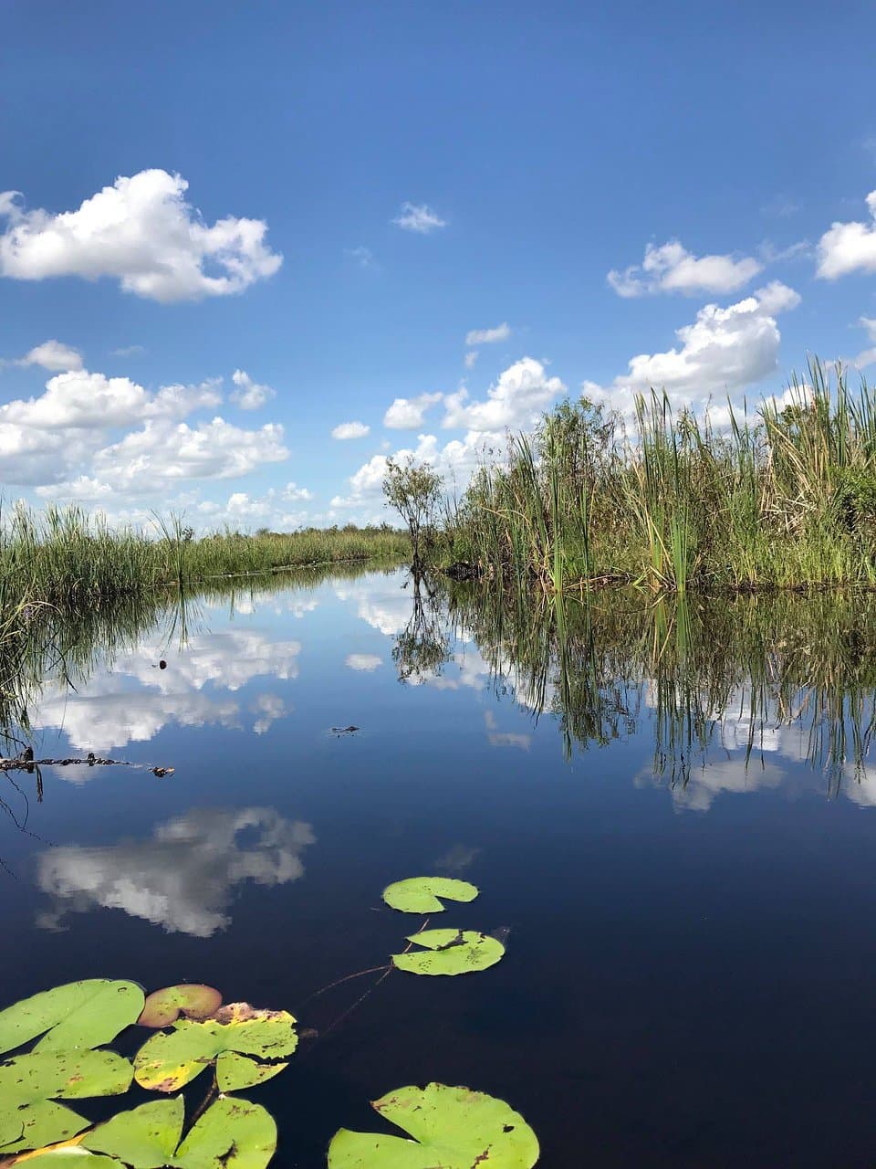 canoe trail