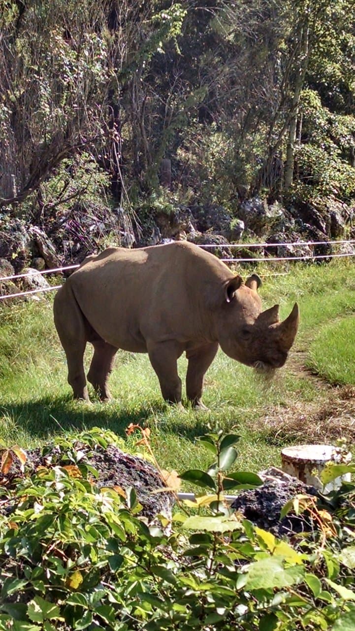 Chehaw Park & Zoo