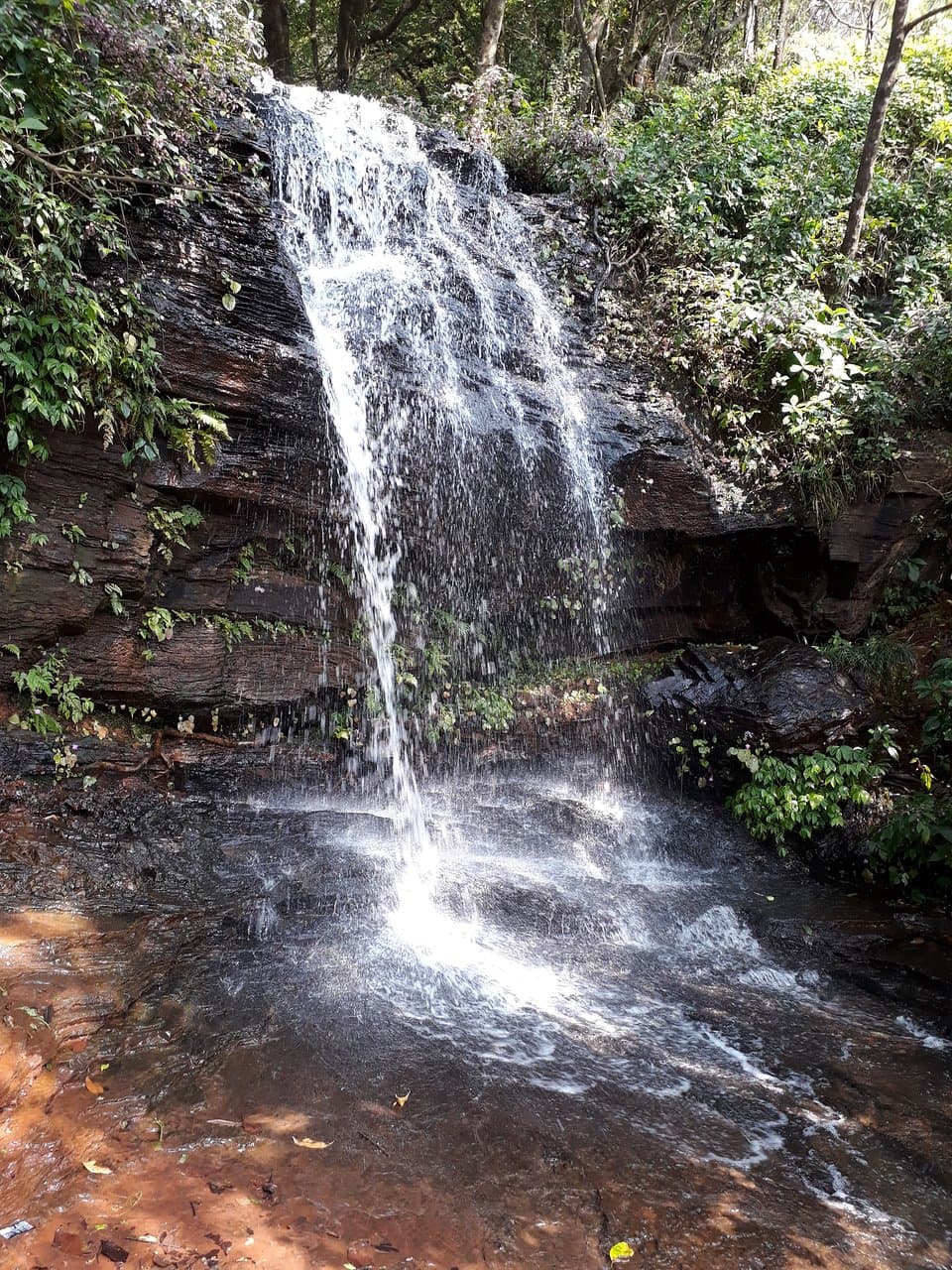 Shanti Falls front photo
