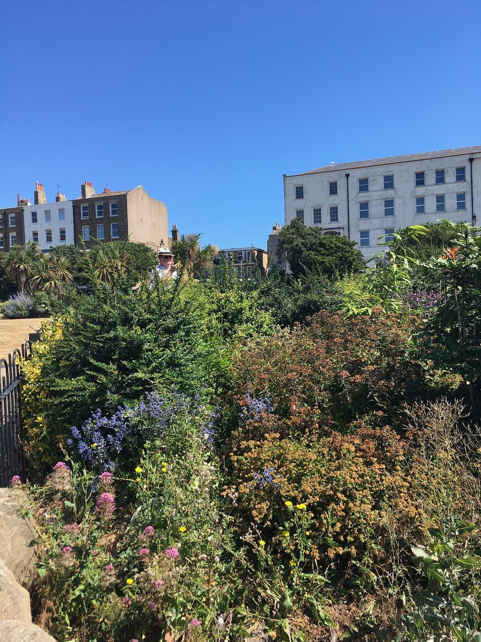 Looking up at Albion Square and gardens
