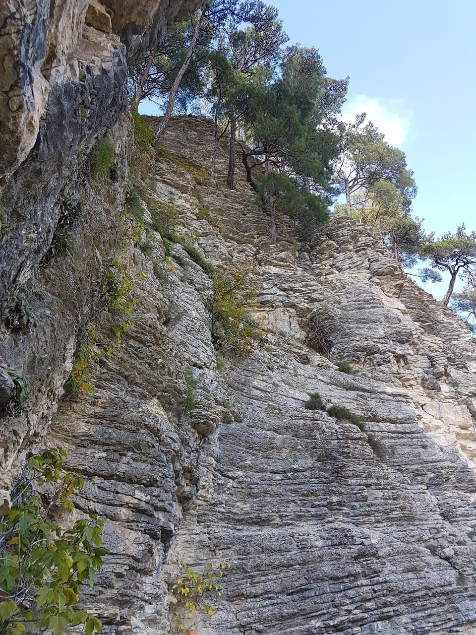 Eagle Rocks