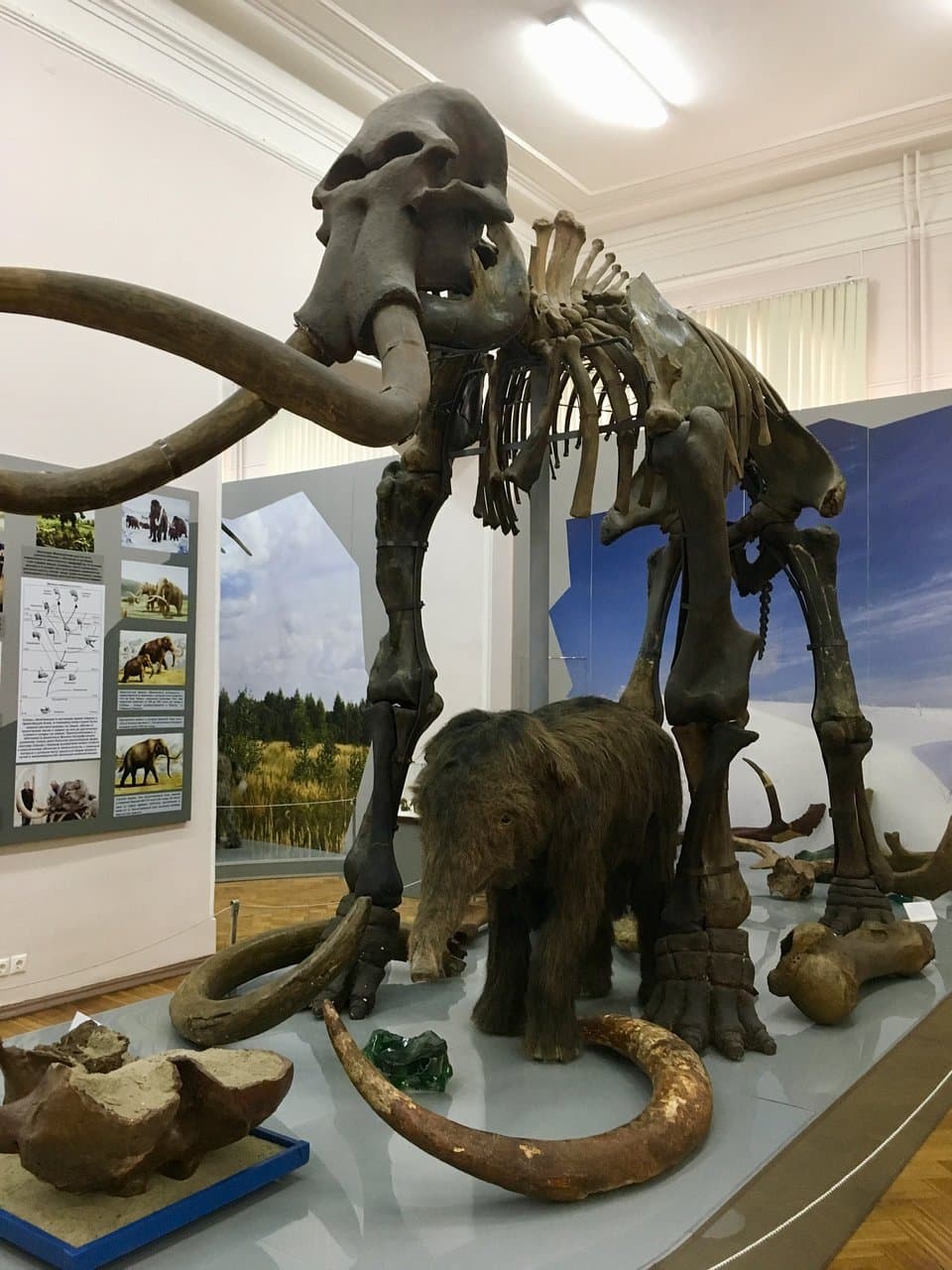 Мама с мамонтенком 