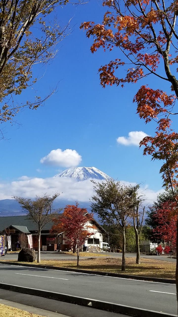 敷地内は広いのでのんびり歩くのもいいでしょう