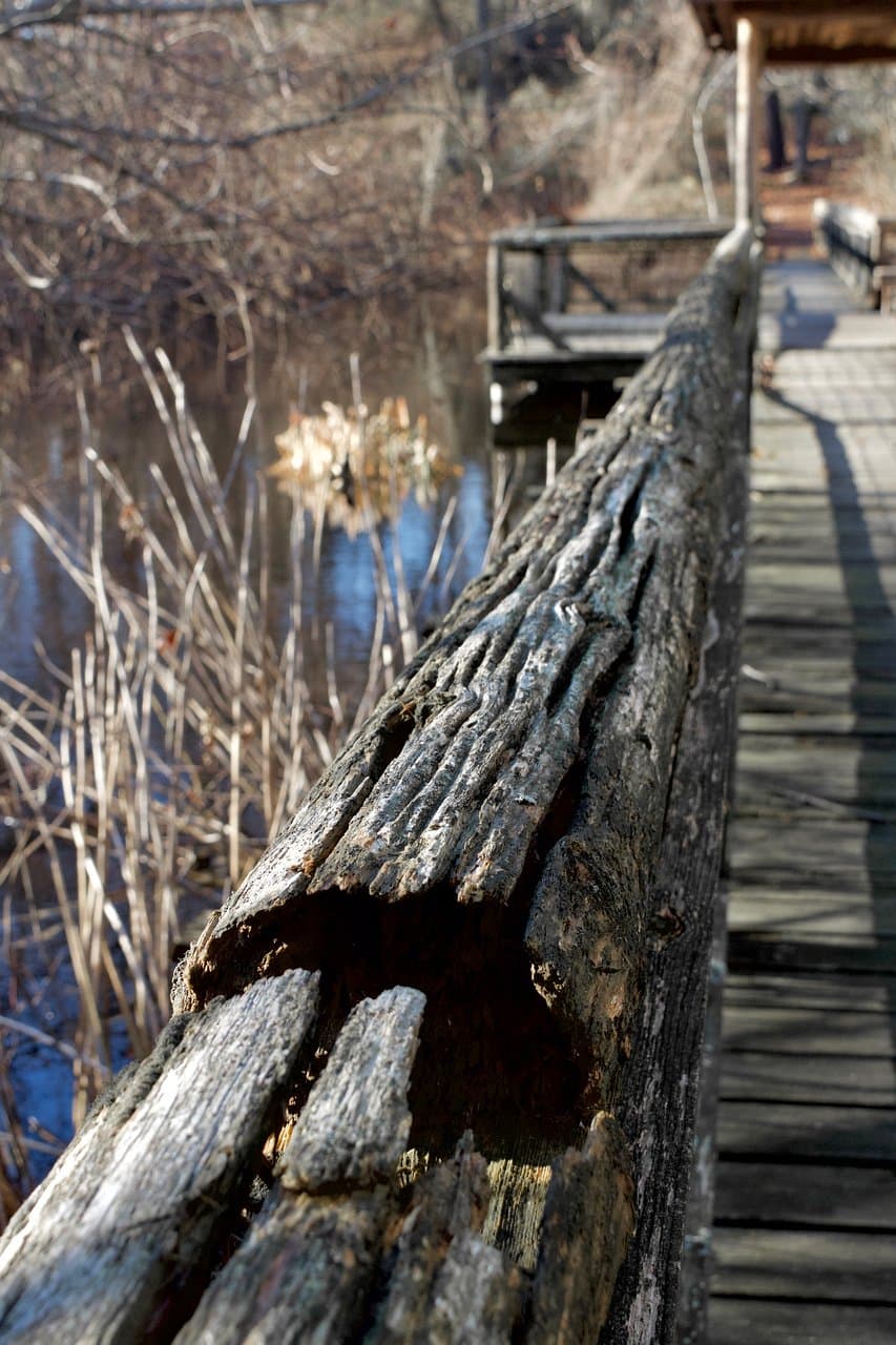 Boardwalk.